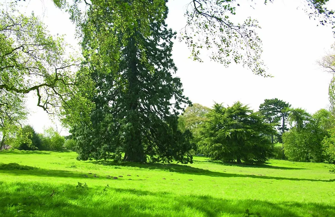Woodland Grange-1